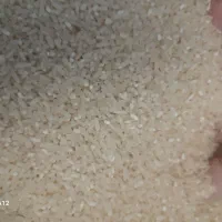 کیلو ۲۷۰ تومن