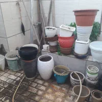 .انواع گلدان سفال وپلاستیکی سالم
