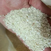 برنج لاشه هاشمی