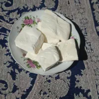 پنیر محلی