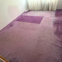 پالاز موکت