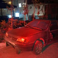 پژو آردی