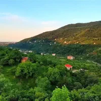 ویلا اجاره ای جنگلی دالخانی