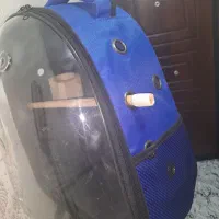 کیف پرنده