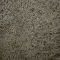 برنج هاشمی درجه ۱ گیلان