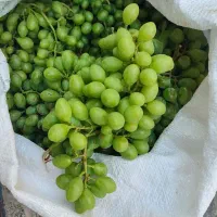 غوره