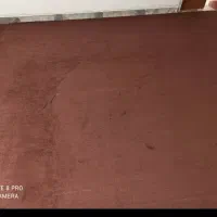 موکت|موکت|شیراز, سرو|دیوار