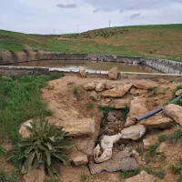 زمین باغی