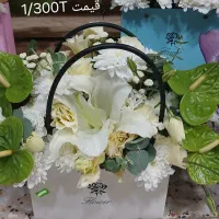 گیاهان آپارتمانی و باکس گل