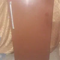 فریزرتک سالم