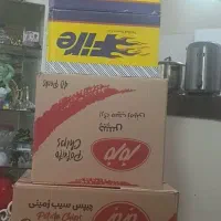 کارتن مزمزچیپس