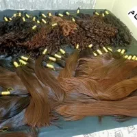 استخدام ادمین و تولیدمحتوای اینستاحوزه موی طبیعی