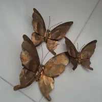 پروانه