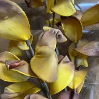 گلدان و سه شاخه گل و یک عدد پاتختی جنس چوب