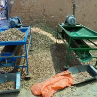 بادام پوست کنی و بادام شکنی
