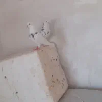 کبوتر