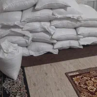 برنج هاشمی دره رود وتخم جو