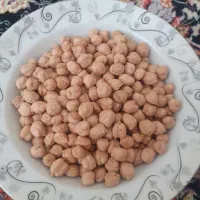نخودکشت امسال کرمانشاه به شرط پخت