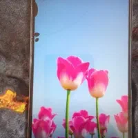 گوشی|موبایل|مشهد, کارگران|دیوار