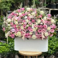 باکس گل