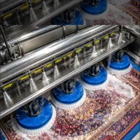 قالیشویی آنی
