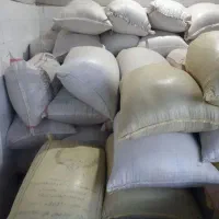 فروش گندم