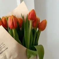 اکسسوری +آرایشی