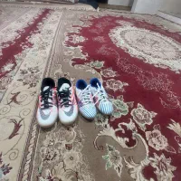 کفش|کیف، کفش، کمربند|نیشابور, مازول|دیوار