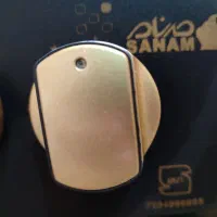 فرگاز مارک صنام