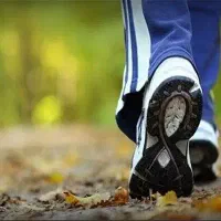 پیاده روی و طبیعت گردی