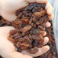 کشمش ممتاز آفتابی تحویل در محل