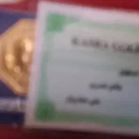 سکه پارسیان ۱گرمی ۱۵۰بالای فی