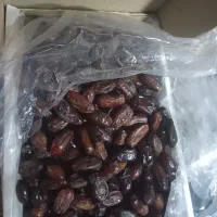 خرما ربی