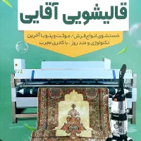 شستشوی مبلمان و قالی شویی اقایی