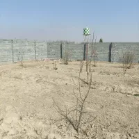 باغچه 560متری با سندتکبرگ|فروش دفتر صنعتی، کشاورزی، تجاری|رباطکریم, الارد|دیوار