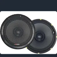 یک جفت میدرنج سایز۱۰ LS