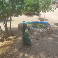 فروش زمین خیراندیش