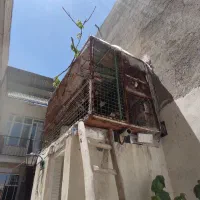 لانه توری