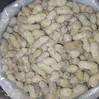 بادام زمینی غلاف دار