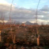 زمین-باغی-2000-متر-قزانچی-باران