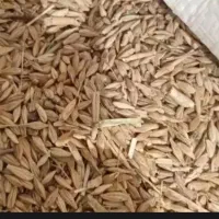 فروش کاه گندم . کاه جو. جو محلی درجه یک