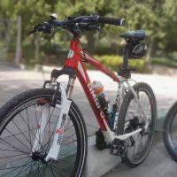 همرکاب دوچرخه سواری