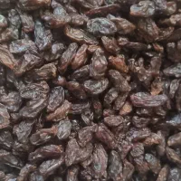 کشمش|عمده‌فروشی|مشهد, گاز|دیوار