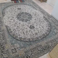 یک عد قالی ۹متری