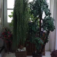 درختچه های مصنوعی