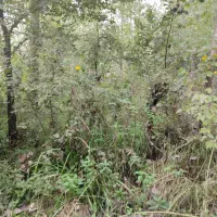 خونه-48متری-درب-مستقل-با-جای-پارک-ماشین-در-حیاط