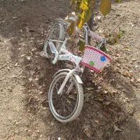 دوچرخه ۲۰دخترانه
