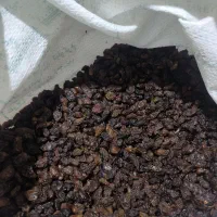 کشمش تمیز افتابی