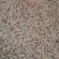 خرید جو محلی تسویه انی