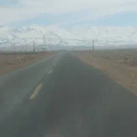 فیش زعفرانیه